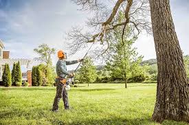 Best Tree and Shrub Care  in Prieton, NC