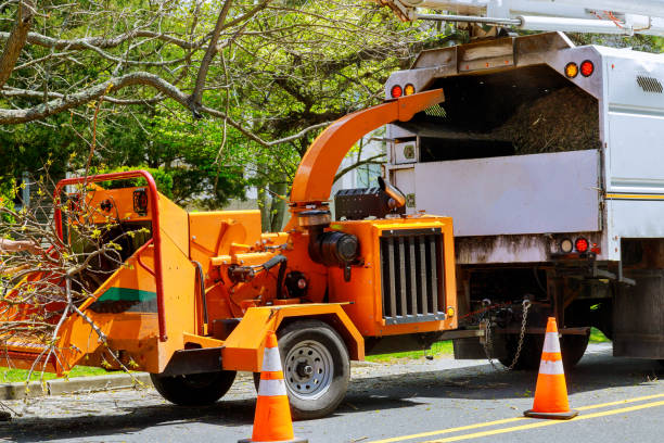 Best Leaf Removal  in Prieton, NC